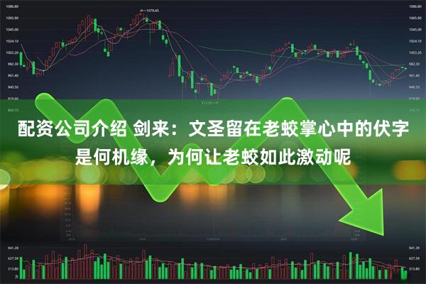 配资公司介绍 剑来:文圣留在老蛟掌心中的伏字是何机缘,为何让老蛟如此激动呢