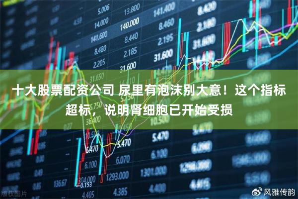 十大股票配资公司 尿里有泡沫别大意！这个指标超标，说明肾细胞已开始受损